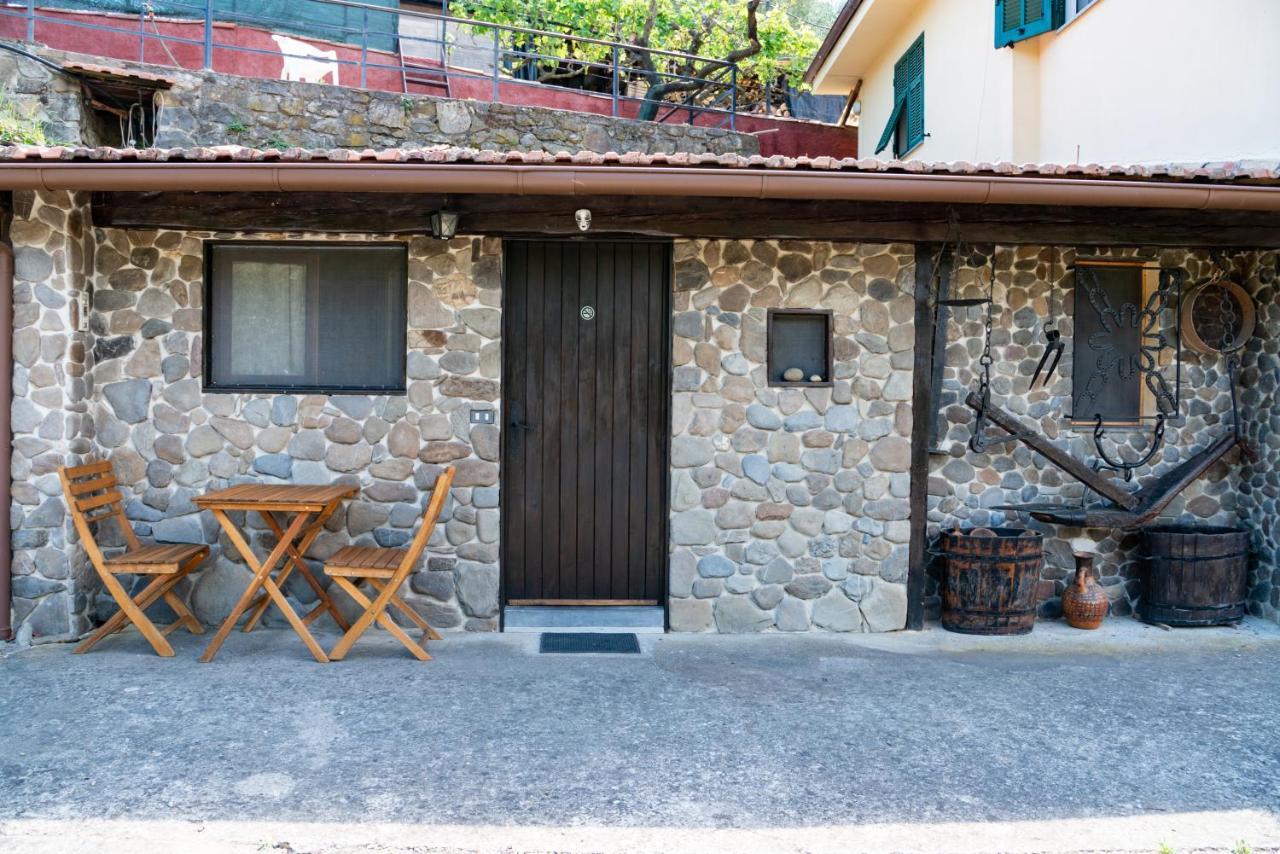 Antica Macina - “La Taverna” Rocchetta Nervina Eksteriør billede